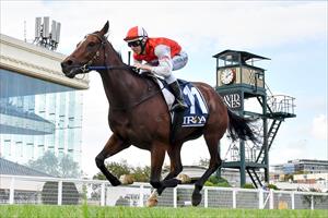Magic Millions Trophy aim for Toffee Nose